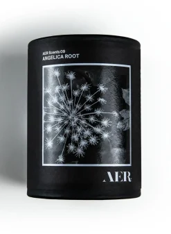 SUSAN BIJL Geuren^09, Angelica Root - Aer