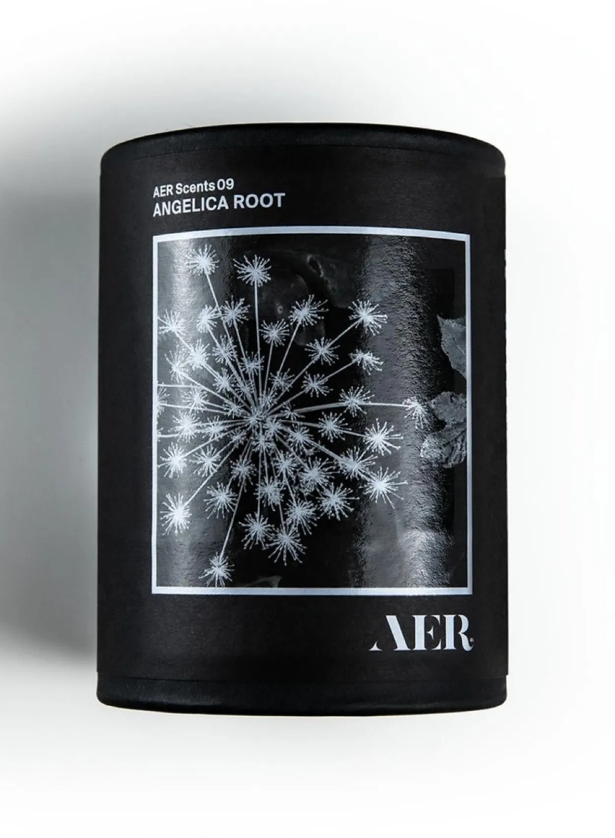 SUSAN BIJL Geuren^09, Angelica Root - Aer