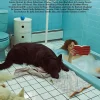 SUSAN BIJL Tijdschriften & Boeken^Magazine Issue #32 - Apartamento